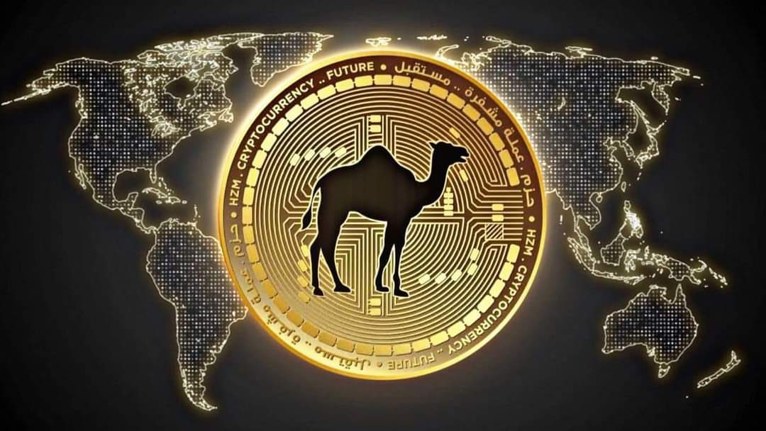 العملة الرقمية hzm